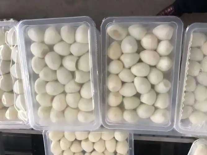 整線解決方案，優化生產流程：鵪鶉蛋包裝神器來襲